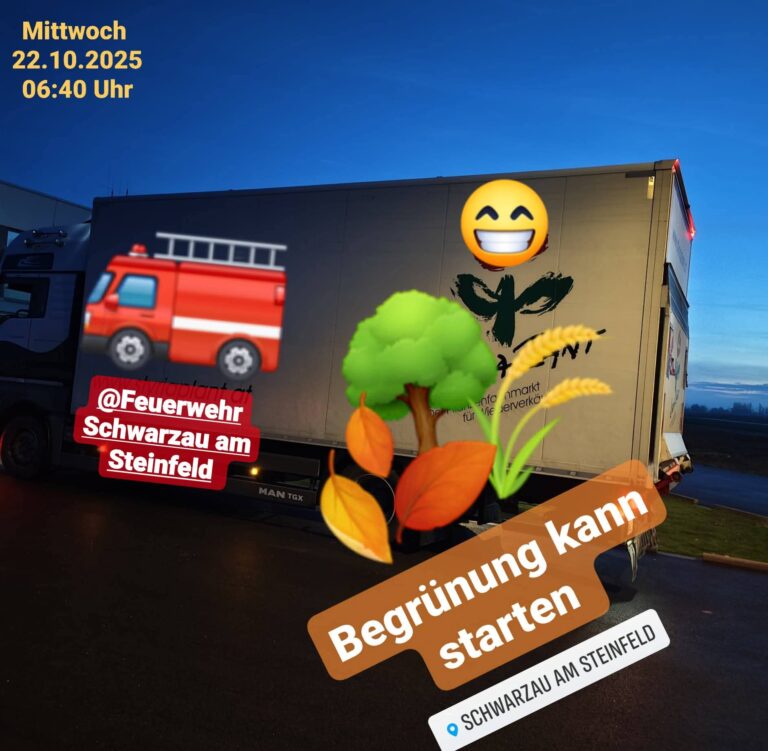 FF_Bepflanzung_02